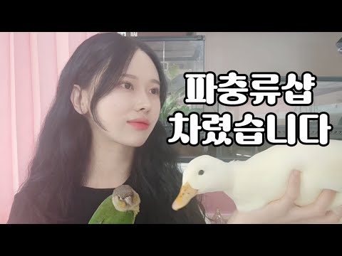 아이콘