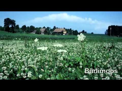 Rothenburg-Luzern CH, Zrogg zo üsne Worzle 1