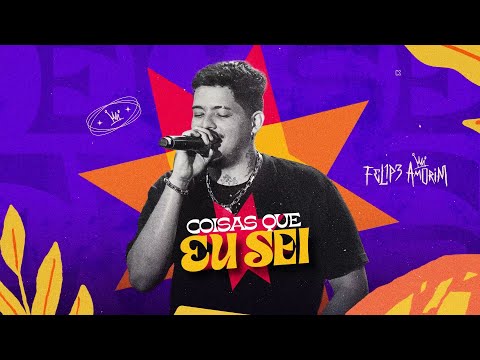 Felipe Amorim - Coisas Que Eu Sei  (Lyric video)