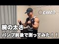 増量真っ只中!腕の太さは今何センチ!?