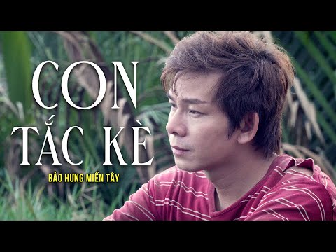 Con tắc kè - Bảo Hưng