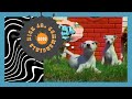 Nick Jr Commercial Break July 12 2000