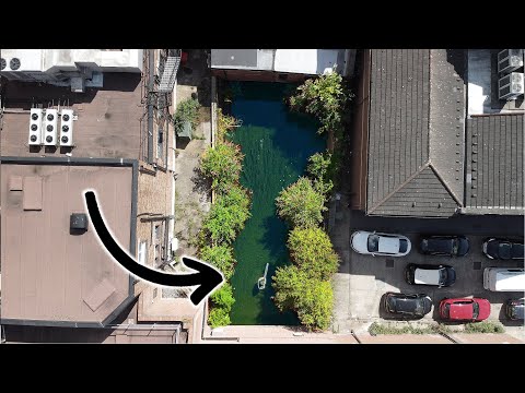 Ørreder spiser ænder