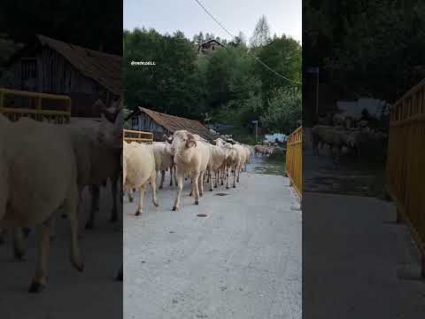 Kruševo, 31.08.2023.