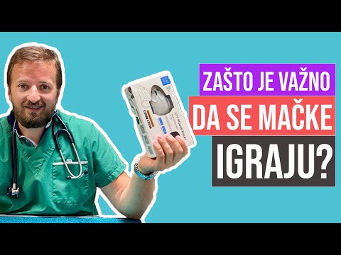 FamilyPet Store | Zašto je bitno da se macke igraju