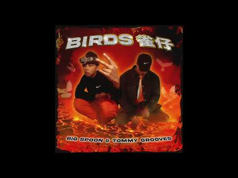 Big Spoon 大匙羹 & Tommy Grooves - Birds 雀仔 (Audio)