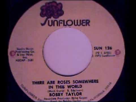 BOBBY TAYLOR...THERE ARE ROSES SOMEWHERE IN THIS WORLD