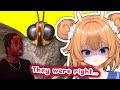 Butterflies Are Actually SCARY Snail Vtuber Reacts To Casual Geographic