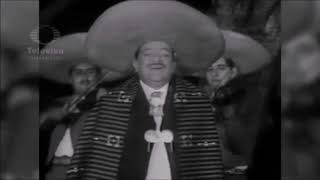 Gracias Lyrics English Translation