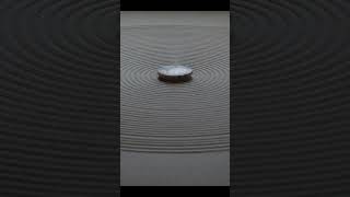 Water Ripple • Stop Motion Exploration