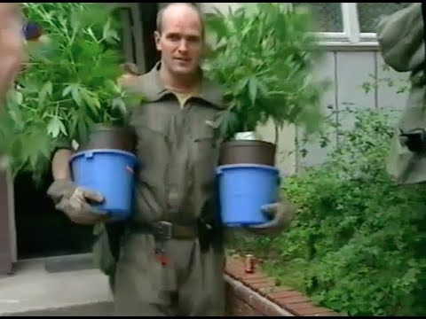 Haschisch Marihuana Gras Drogen Bericht Sat1 ca 2001