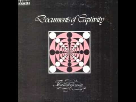 Document Of Security: Moonlight Ladies/The Pursuit-Documents Of Captivity(1973 ... online metal music video by THUNDERPUSSY