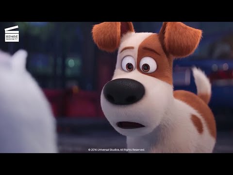 The Secret Life of Pets: Everyone goes home, finally! (HD CLIP)
