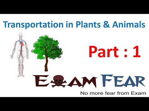 Happyclass - Transportation in Animals and Plants, Science, CLASS 7 - NCERT CBSE Happyclass - Transportation in Animals and Plants, Science, CLASS 7 - NCERT CBSE