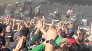 Reel BiG Fish - everyone else is an asshole