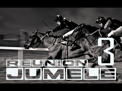 Pronostic du jumele (R3)20/02/2017