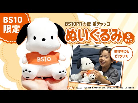 ぬいぐるみSインフォマ 30秒