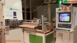 MÁY CƯA LỌNG CNC CAO TỐC CỦA WOODMASTER CHO NĂNG SUẤT VƯỢT TRỘI GIÁ TỐT NHẤT TP HCM