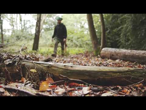 Clear Cut Trees - North London Tree Surgeons - Videos album cover