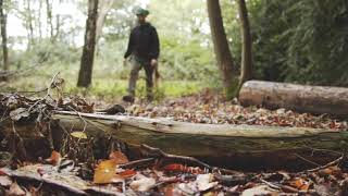 Album cover: Clear Cut Trees - North London Tree Surgeons - Videos