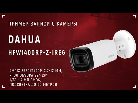 P59-_ia3E5c