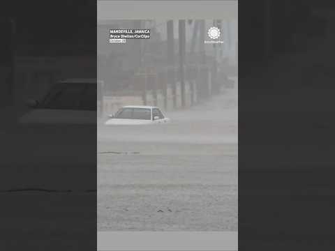 Ураганът Мелиса: Инфраструктурни поражения и опасност от "разселване на крокодили"