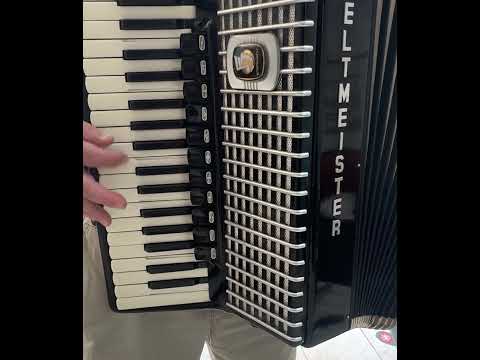 Vintage German Made Top Quality LMMH Accordion Weltmeister Stella - 96 bass, 16 reg./master switch + HardCase & Straps ~ Fisarmonica - VIDEO image 21