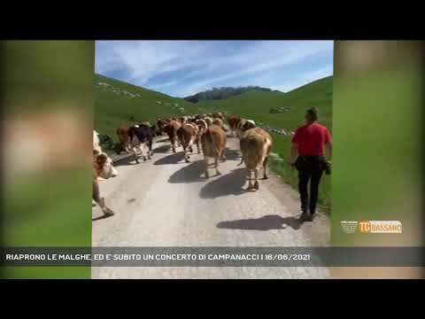 RIAPRONO LE MALGHE, ED E' SUBITO UN CONCERTO DI CAMPANACCI | 16/06/2021