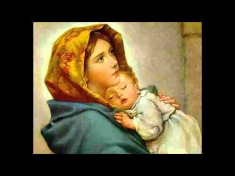 Maior Riqueza video