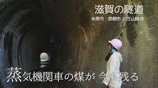 【滋賀の隧道】仏生山隧道