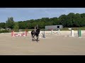 Magnifique hongre 4 ans, +-1m60, kwpn