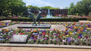 20250507 福岡県 久留米市 石橋文化センターで『春のバラフェア2025』