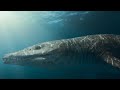The Tyrannosaurus Rex Of The Seas Attenborough And The Giant Sea Monster BBC Earth