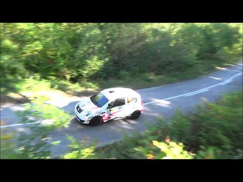 Goran Rabasovic / Milan Janjic - 54. Serbia rally 2021 - Citroen C2 R2 max