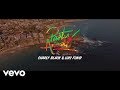 Charly Black, Luis Fonsi - Party Animal