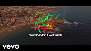 Charly Black & Luis Fonsi - Party Animal