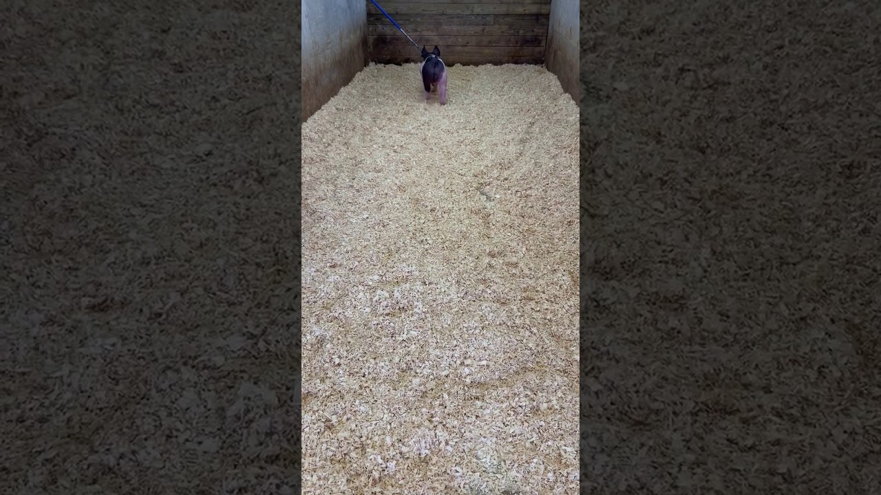 F0866879 BB9E 44D6 B159 0A927A8C89FA