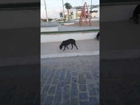 praça de Santa Terezinha livramento Pb