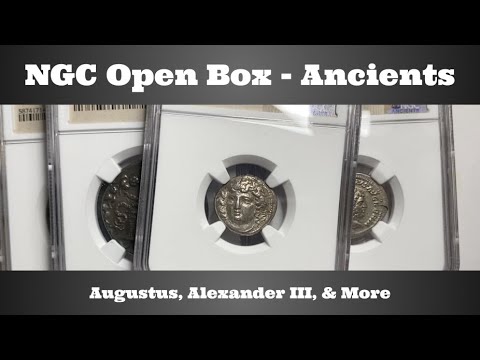 NGC Open Box  - Ancients - Augustus, Alexander III, & More