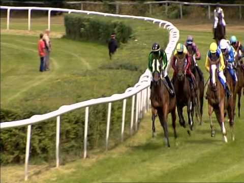 Galopprennbahn Dresden - 01.08.2015 - 3.Rennen