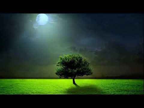 Dj Caos 78 Party Mix Vol. 1