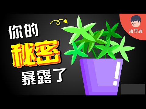 植物是生命嗎