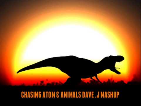 Tiesto, Quintino, R3HAB vs Nari & Milani vs Martin Garrix - Chasing Atom & Animals (Dave .J Mashup)