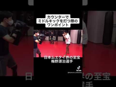 梅野源治選手解説！カウンターで左ミドルをあわせる場合のポイント