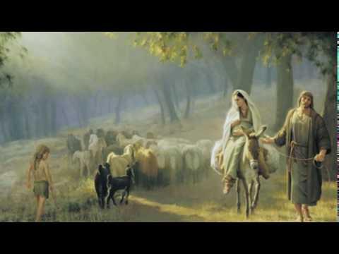 Jacob Schenk - Mary, Did You Know (live)