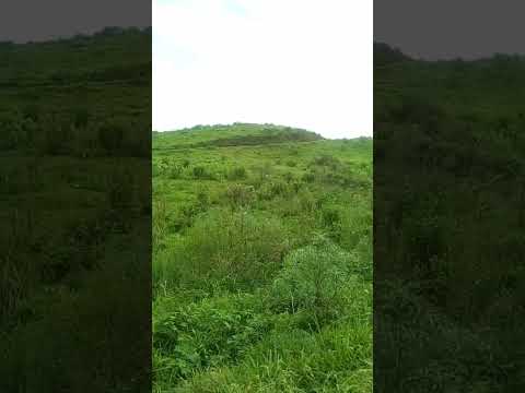 esse lugar é esmeralda interior de major gercino sc