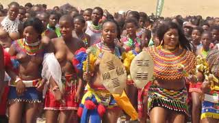 The Annual Zulu Reed Dance