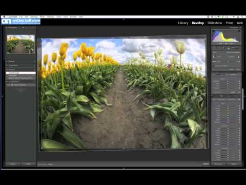 download lagu mp3 mp4 Brian Little Photography, download lagu Brian Little Photography gratis, unduh video klip Brian Little Photography