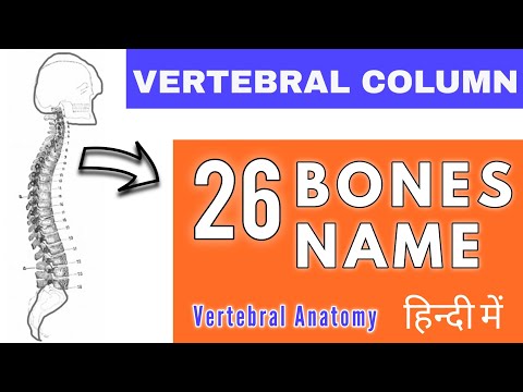 26 Vertebral column | Bones Name | Cervical bone |Thoracic| Sacrum bone | Lumbar vertebrae