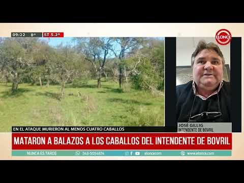 Mataron a balazos a los caballos del intendente de Bovril - José Gillig 27/04/26